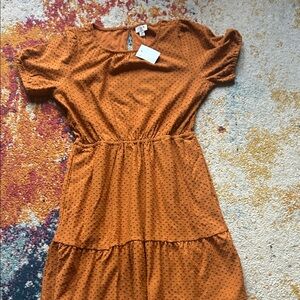 J. Crew Factory Rust Midi Dress with Dots